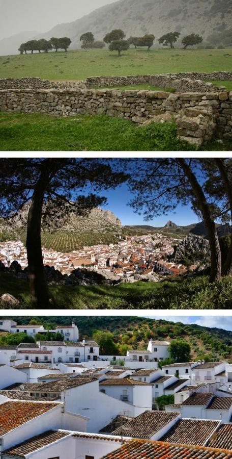Hotel Rural Palacete De Manara Montejaque Zewnętrze zdjęcie